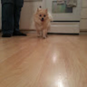 Meet your Posher, Becky